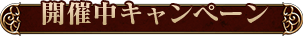 開催中キャンペーン